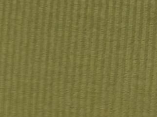 Imagem da Cor do Produto Blusa Sophie Canelada - Verde - Elegância com Toque Fashion no Ombro a Ombro